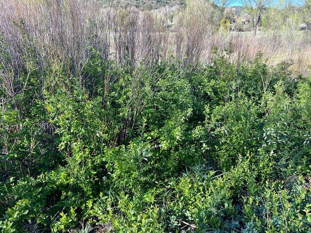 TBD Highway 12, Segundo, CO 81082 - photo 21