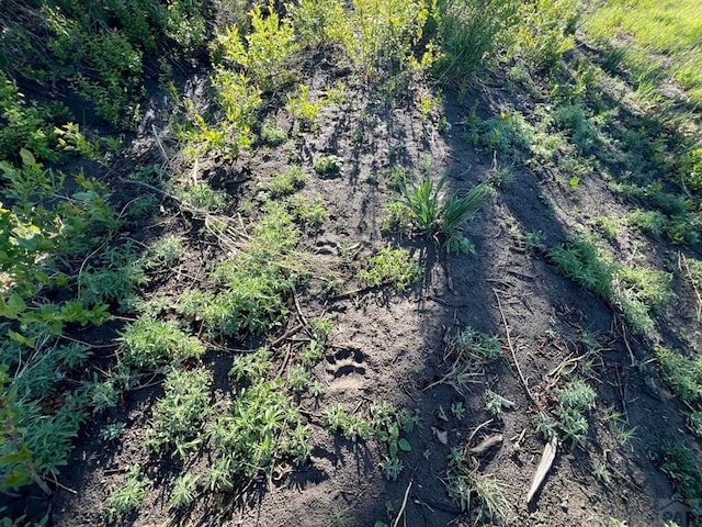 TBD Highway 12, Segundo, CO 81082 - photo 27