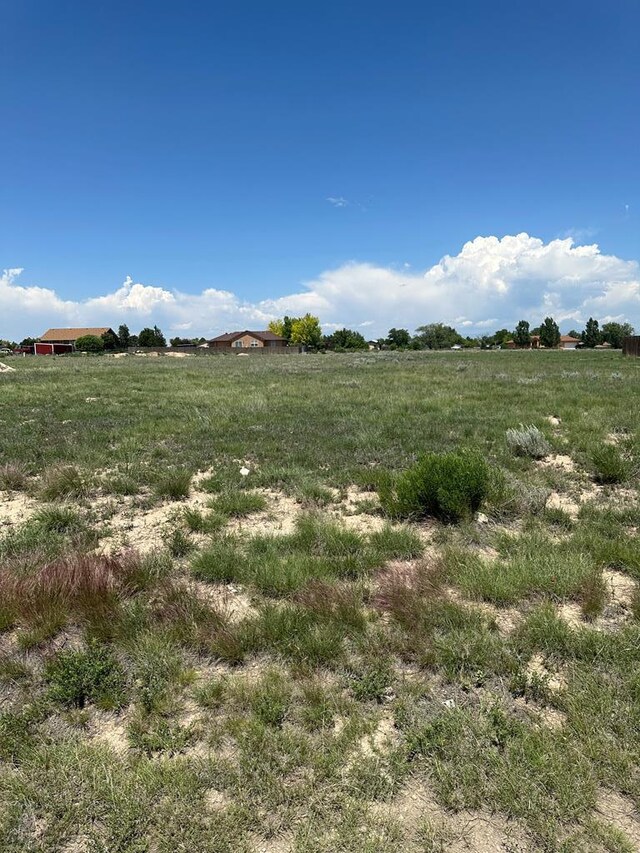 593 S Archdale Dr, Pueblo West, CO 81007 - photo 5
