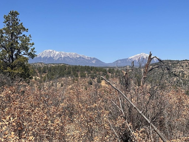 11751 County Rd 31.9, Weston, CO 81091 - photo 55