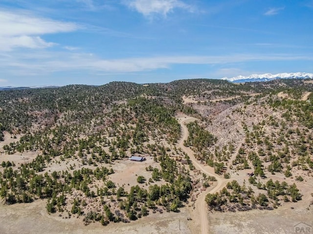 11751 County Rd 31.9, Weston, CO 81091 - photo 51