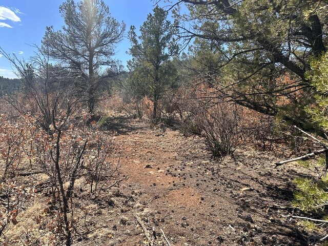 11751 County Rd 31.9, Weston, CO 81091 - photo 59