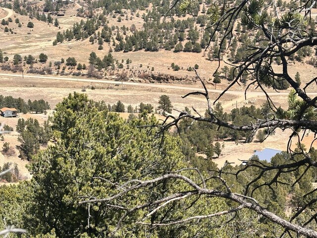 11751 County Rd 31.9, Weston, CO 81091 - photo 57