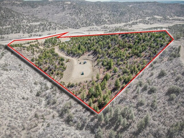 11751 County Rd 31.9, Weston, CO 81091 - photo 50