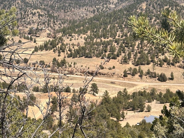 11751 County Rd 31.9, Weston, CO 81091 - photo 56