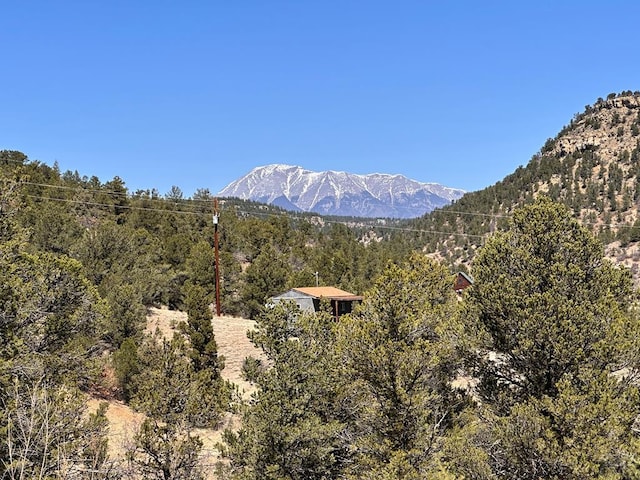 11751 County Rd 31.9, Weston, CO 81091 - photo 37