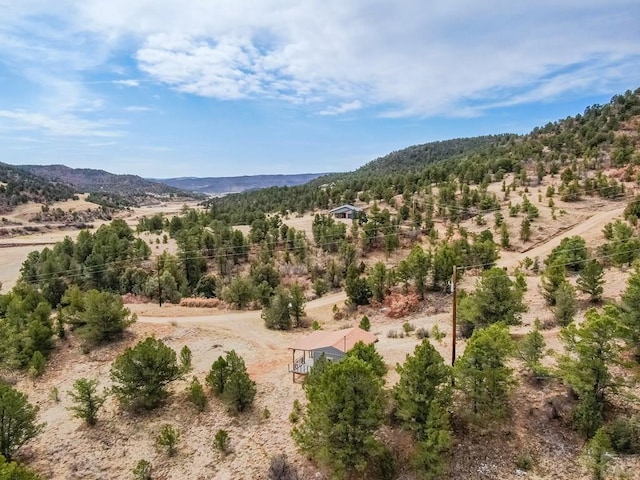 11751 County Rd 31.9, Weston, CO 81091 - photo 43