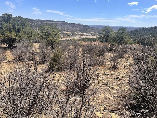 11751 County Rd 31.9, Weston, CO 81091 - photo 53