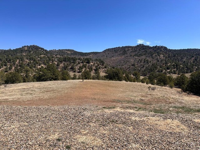 11751 County Rd 31.9, Weston, CO 81091 - photo 32