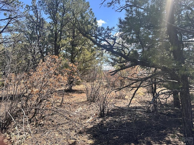 11751 County Rd 31.9, Weston, CO 81091 - photo 60