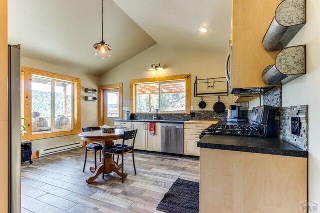 11751 County Rd 31.9, Weston, CO 81091 - photo 11