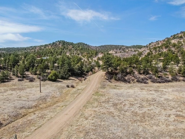 11751 County Rd 31.9, Weston, CO 81091 - photo 52