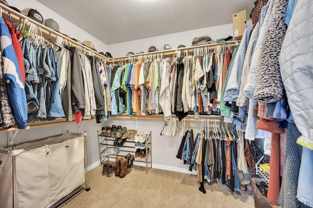 spacious closet featuring carpet
