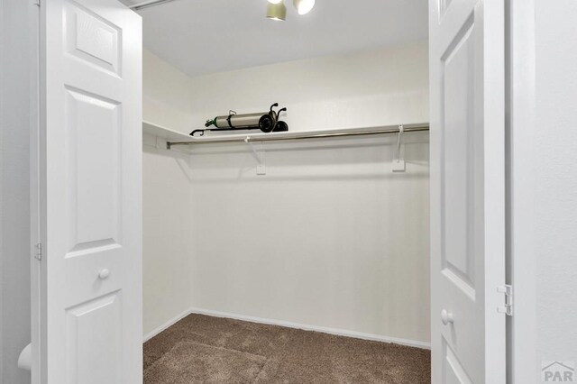 walk in closet featuring carpet