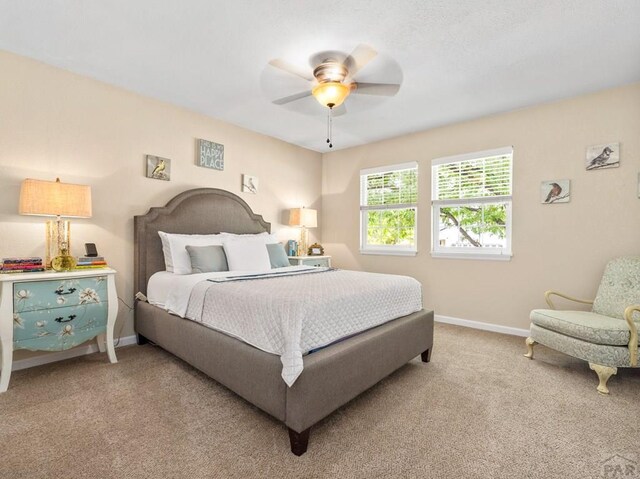 24 Archway Ln, Pueblo, CO 81005 - photo 18
