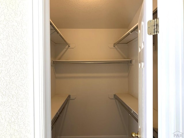 view of walk in closet