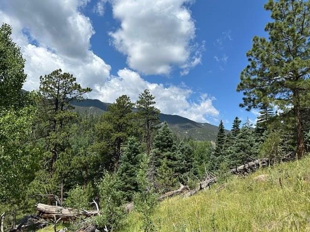 TBD Westcliffe Dr, San Isabel CO, 81069 land for sale