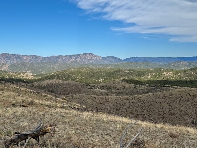 TR39 H Path, Cotopaxi, CO 81223