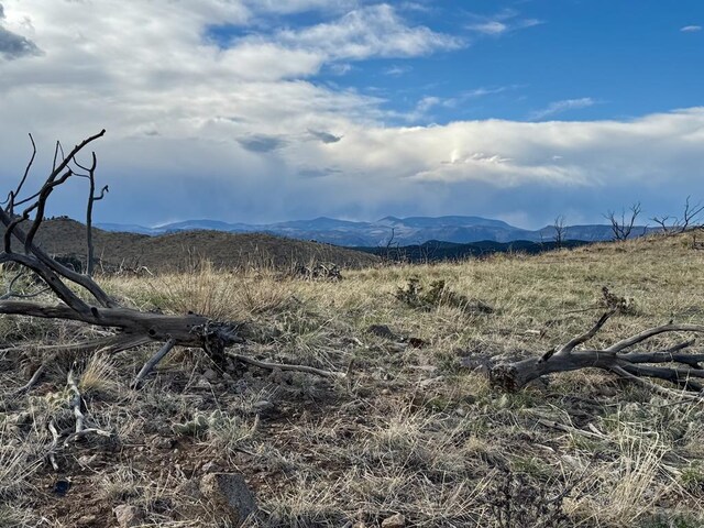 TR39 H Path, Cotopaxi, CO 81223