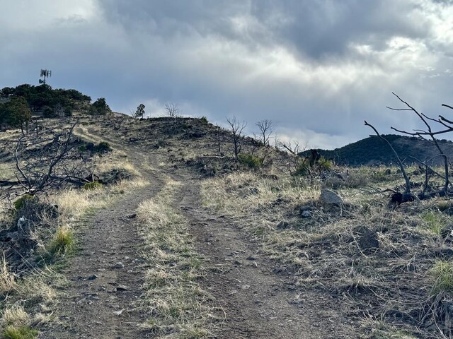 TR39 H Path, Cotopaxi, CO 81223