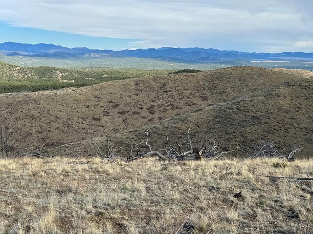 TR39 H Path, Cotopaxi, CO 81223