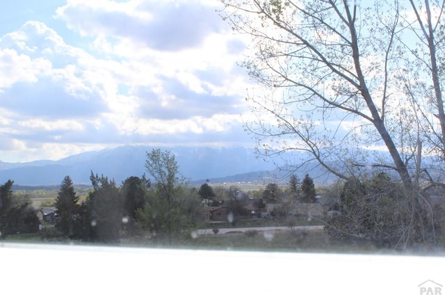 2959 Blue Spruce Dr, Colorado City, CO 81019 - photo 19
