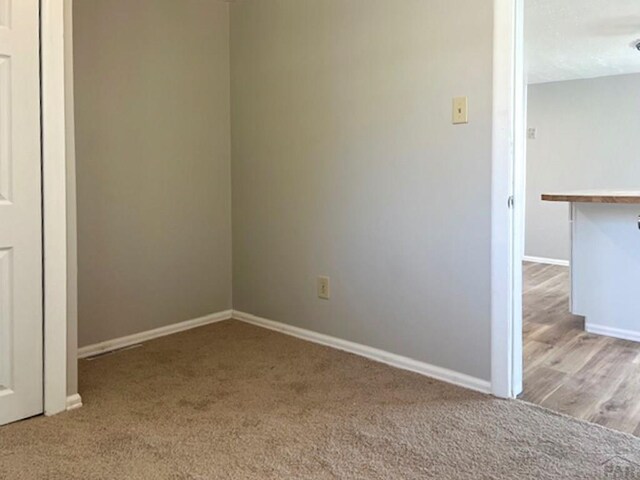 empty room featuring baseboards and light colored carpet