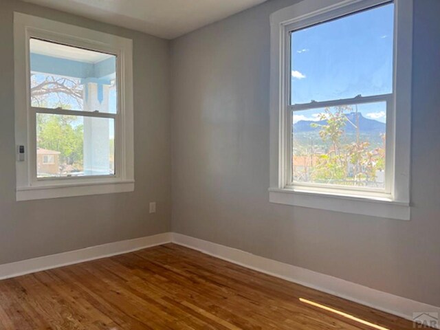 empty room featuring a healthy amount of sunlight, baseboards, and wood finished floors