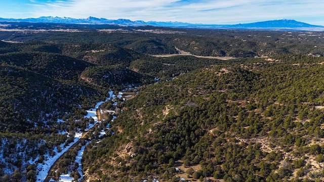 Listing photo 3 for TBD Four Mile Canyon Rd, Walsenburg CO 81089