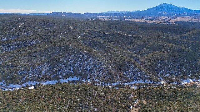 TBD Four Mile Canyon Rd, Walsenburg CO, 81089 land for sale