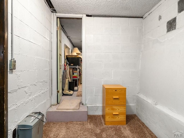 1040 28th Ln, Pueblo, CO 81006 - view of storage area