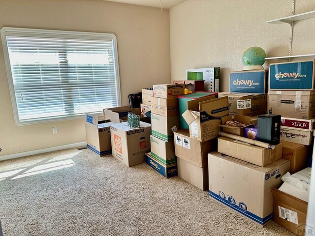 55 S Oswego Dr, Pueblo West, CO 81007 - photo 17