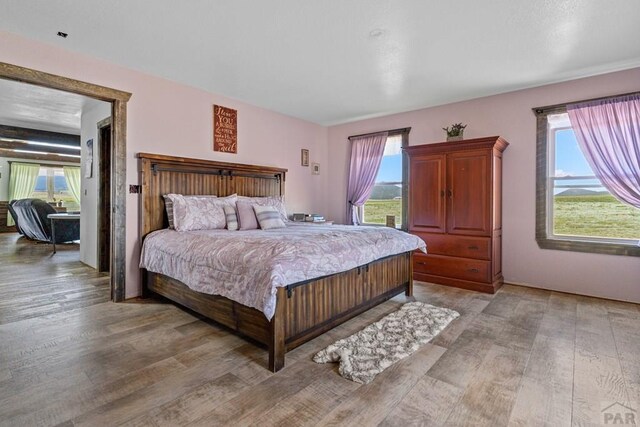 5010 Oak Grove Cir, Westcliffe, CO 81252 - bedroom with multiple windows and light wood-type flooring