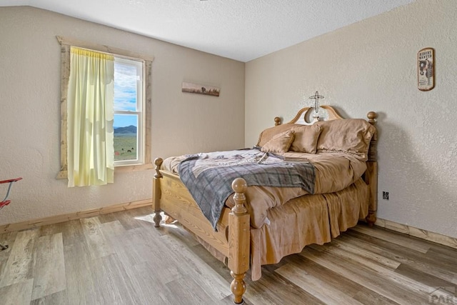 5010 Oak Grove Cir, Westcliffe, CO 81252 - bedroom featuring light wood-style flooring, baseboards, and a textured wall