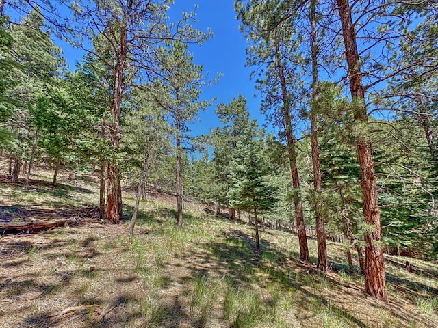 96 N Matterhorn Cir, Westcliffe, CO 81252