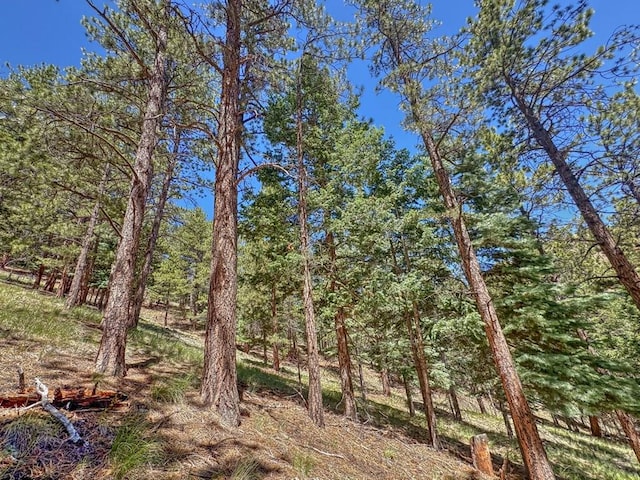 96 N Matterhorn Cir, Westcliffe, CO 81252