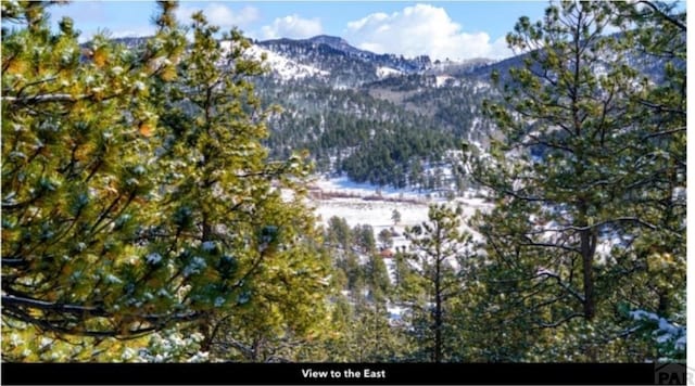 96 N Matterhorn Cir, Westcliffe, CO 81252 - photo 19