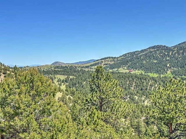 96 N Matterhorn Cir, Westcliffe, CO 81252
