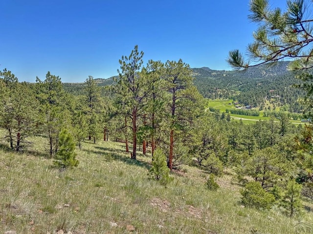 96 N Matterhorn Cir, Westcliffe, CO 81252