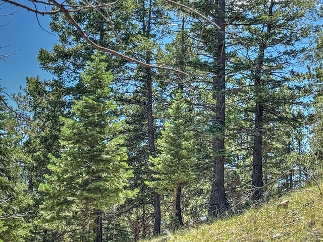96 N Matterhorn Cir, Westcliffe, CO 81252