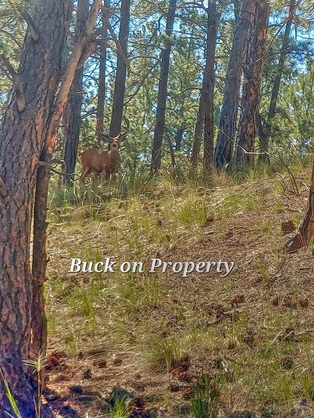 96 N Matterhorn Cir, Westcliffe, CO 81252