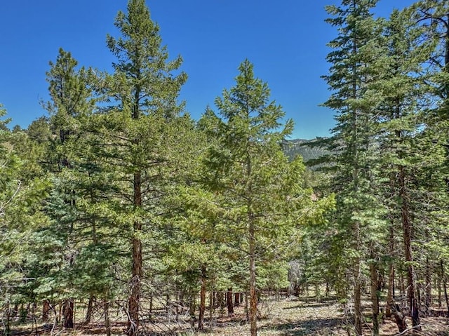 96 N Matterhorn Cir, Westcliffe, CO 81252