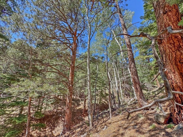 96 N Matterhorn Cir, Westcliffe, CO 81252