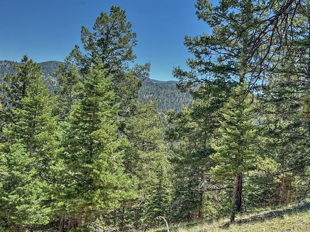 96 N Matterhorn Cir, Westcliffe, CO 81252