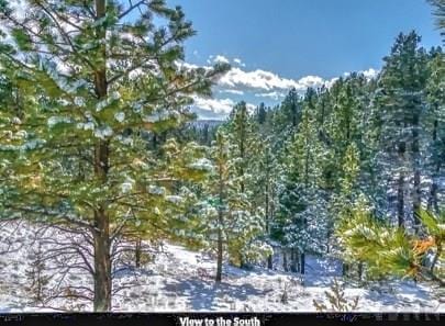 96 N Matterhorn Cir, Westcliffe, CO 81252