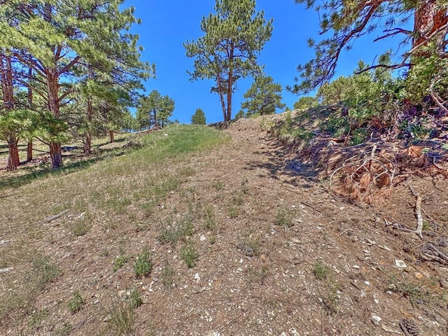 96 N Matterhorn Cir, Westcliffe, CO 81252