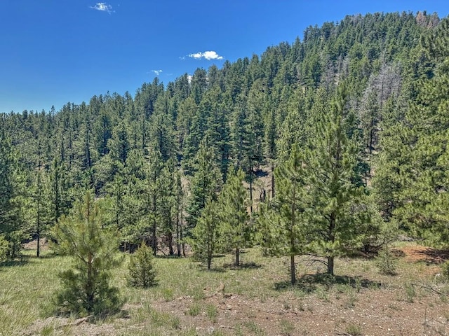 96 N Matterhorn Cir, Westcliffe, CO 81252 - photo 6