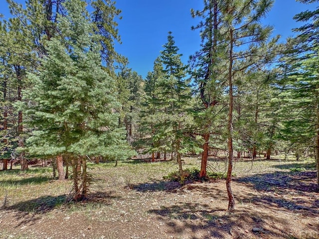 96 N Matterhorn Cir, Westcliffe, CO 81252