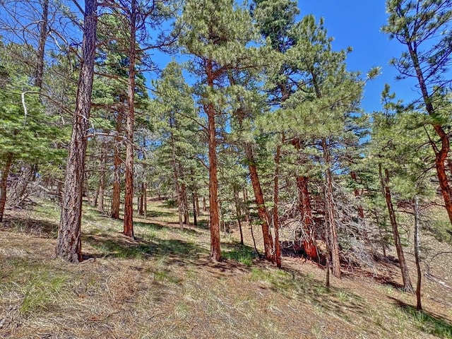 96 N Matterhorn Cir, Westcliffe, CO 81252