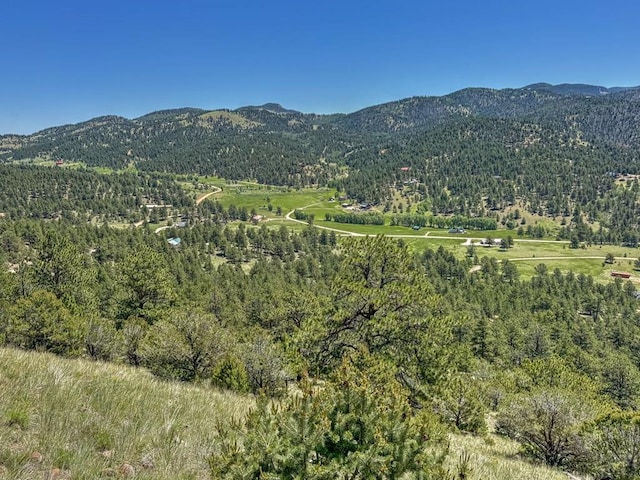 96 N Matterhorn Cir, Westcliffe, CO 81252